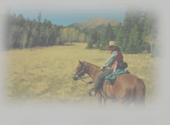 Marty Vyn Boennighausen on her Horse - "Sonny".....