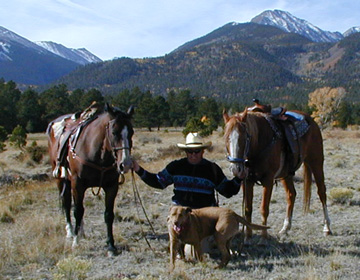 Arthur's Chesapeake Bay Retriever - "Shogun" Loves Horseback riding Adventures.........