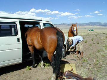 Arizona Rain decides to get in our Volkswagon EuroVan.......