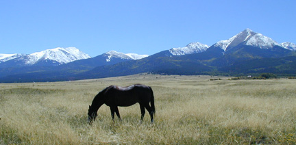 Autumn 2003.......... The Grass on the Prairie is much taller as we are Blessed with Rain.............