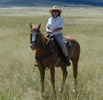 The grass is two foot tall thanks to late Summer rainfall..........