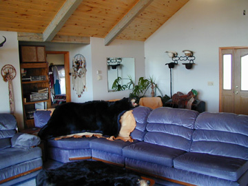 The furnishings in the main Ranch house are available under a seperate bill of sale......